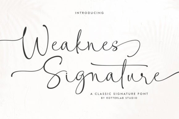 Weaknes Signature: A Script Handwritten Font for Editorial Design